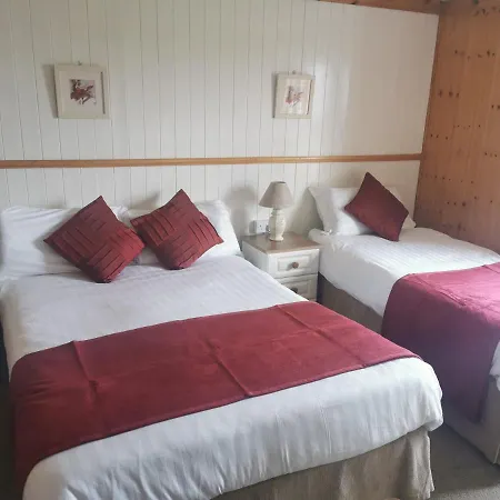 Bed and breakfast The Olde Castle 3*